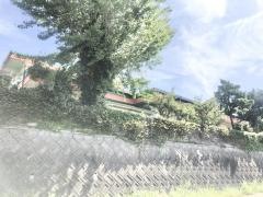 泊保育所