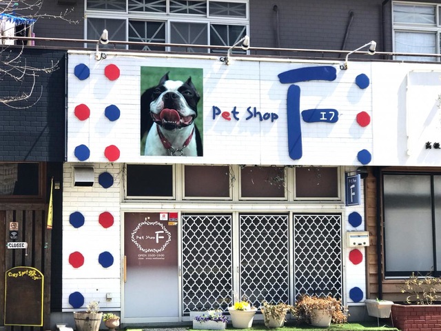投稿写真6