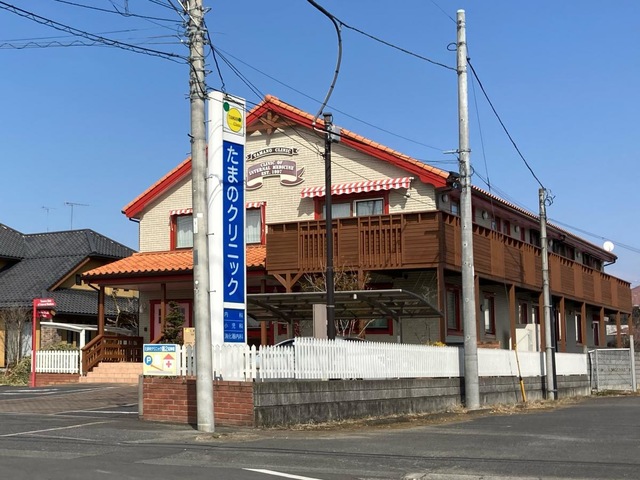 投稿写真1