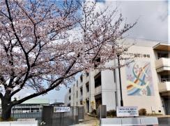 桜町小学校