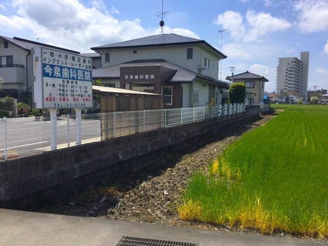 投稿写真1