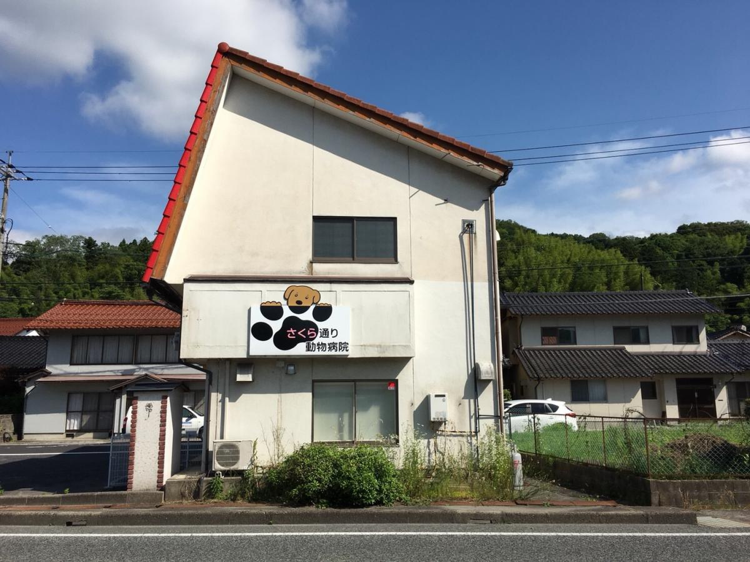 さくら 通り 動物 病院