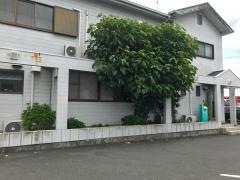 中山歯科医院