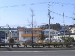 太陽幼稚園