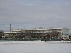 城西小学校
