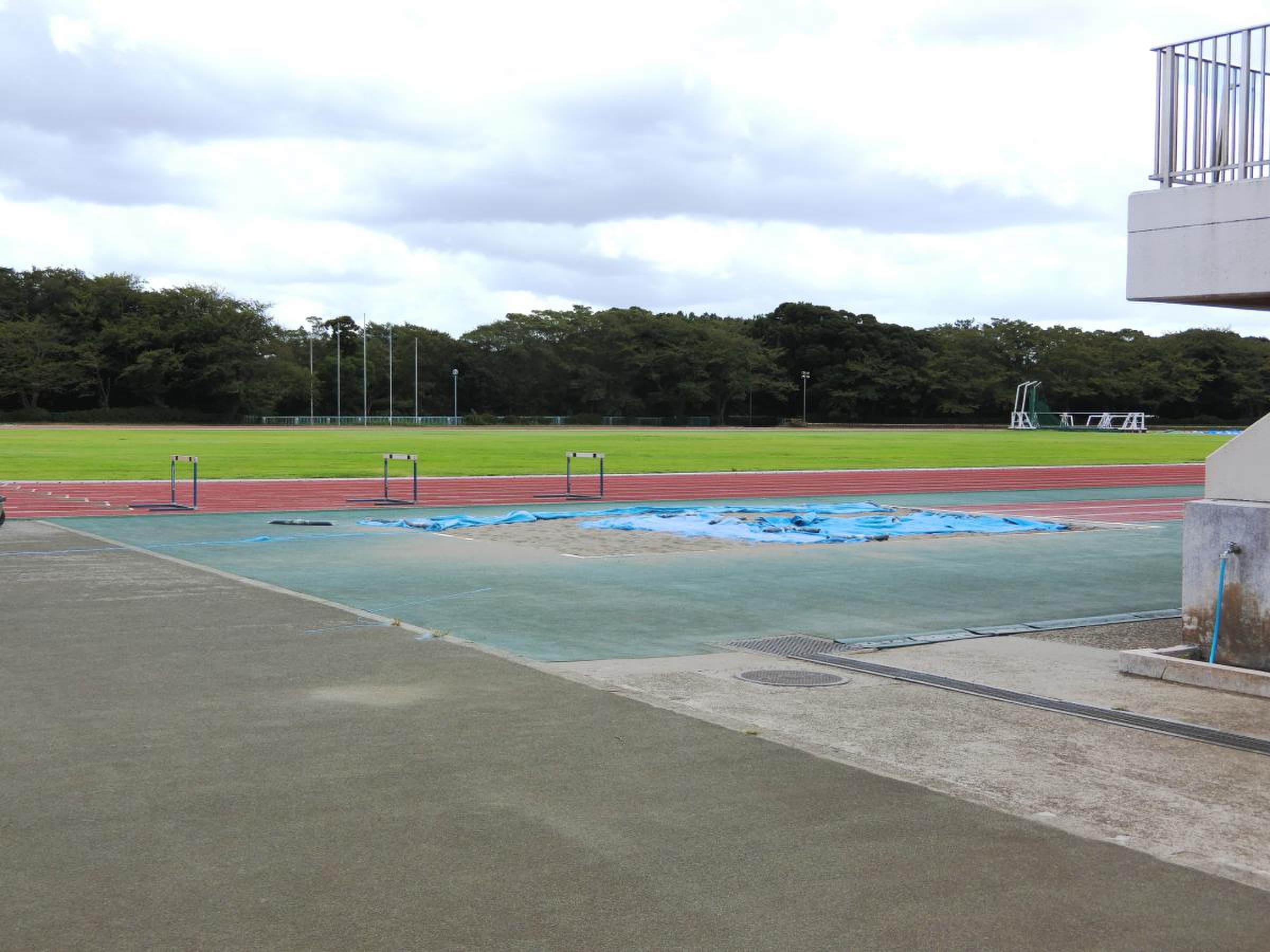 船橋 市 運動 公園