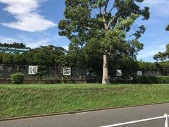 臨海プール