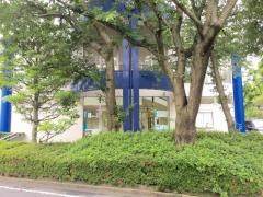 駒沢女子短期大学付属こまざわ幼稚園