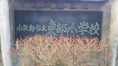 東部小学校