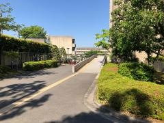 藍野大学