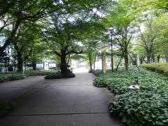 城西大学大学院