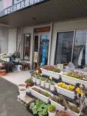 さくら鍼灸整骨院