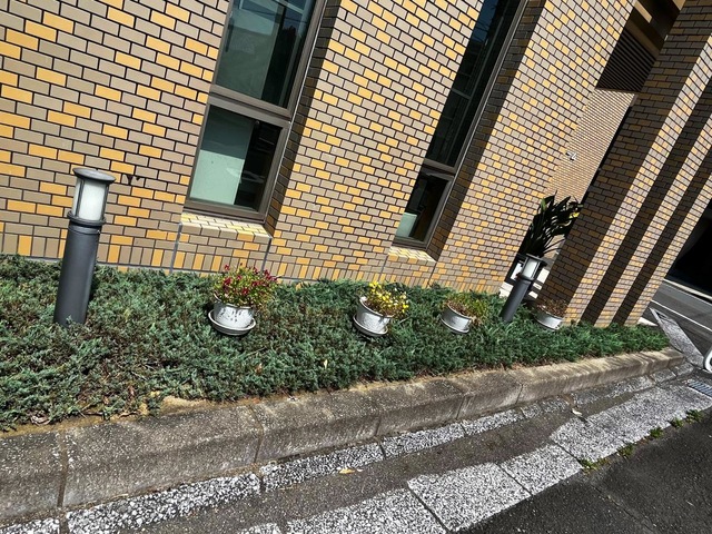 アスター丸山