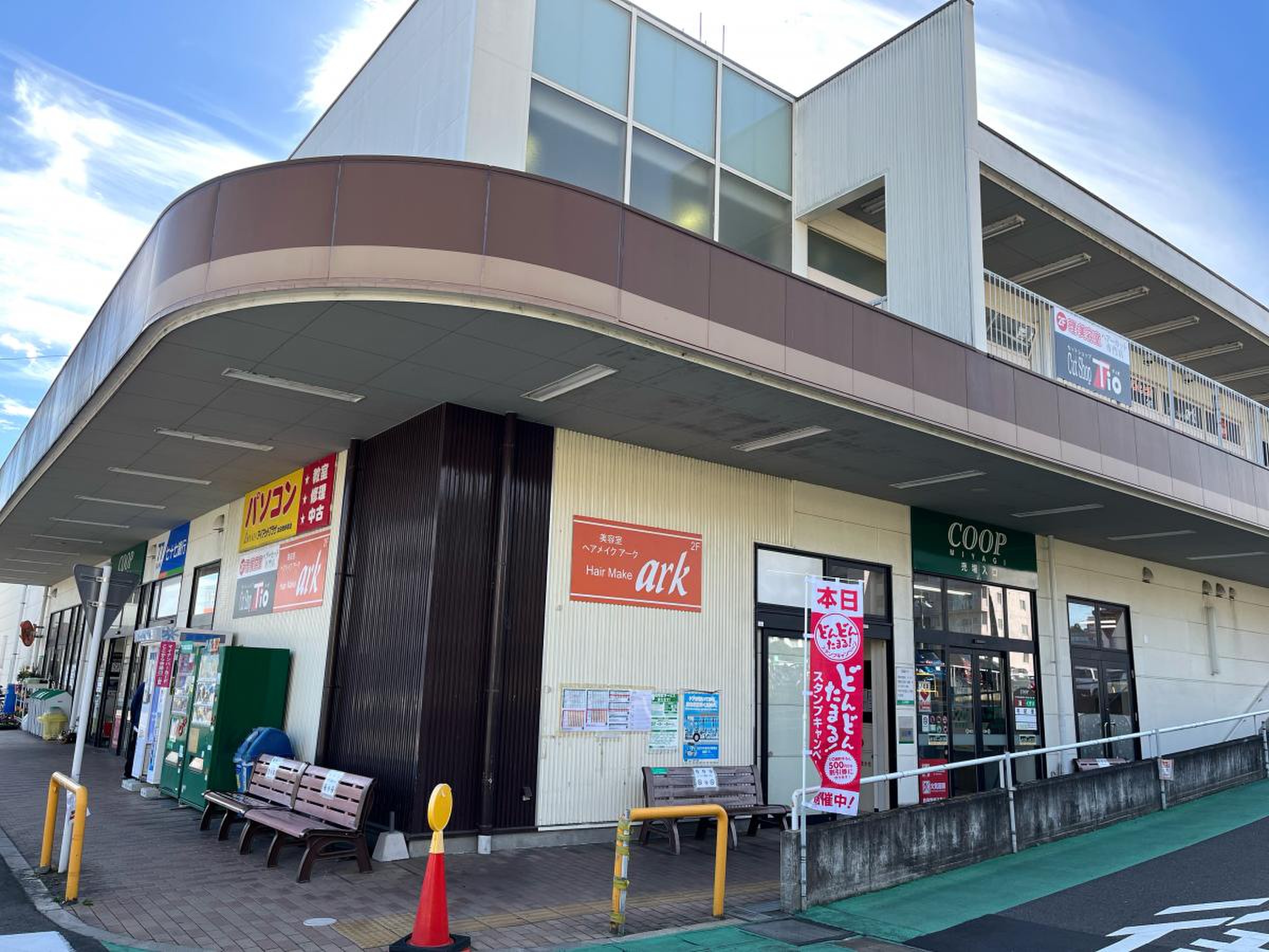 活動歴および当時の関連ビジュアル記録