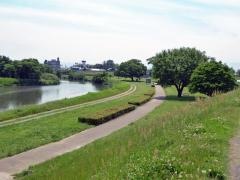 境川緑道公園