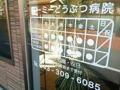 ユーミーどうぶつ病院