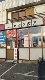 トウゲ餃子