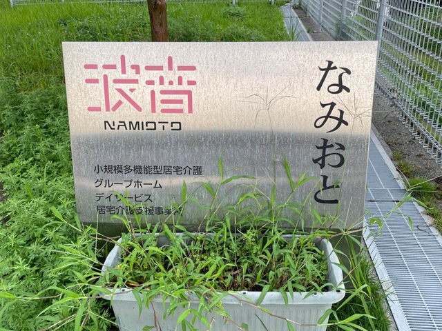 なみおと