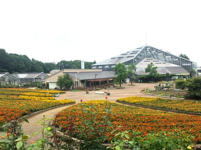 旅探 たびたん とちぎ花センター