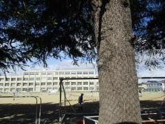 江南市立古知野中学校