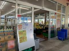 新鮮市場きむら長尾店