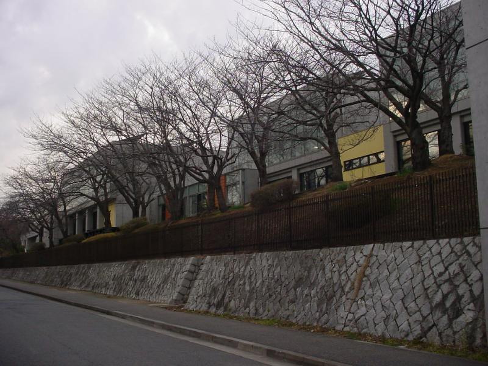 四季 芸術 センター 本館
