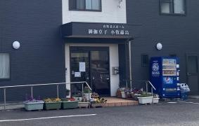 御伽草子小牧藤島