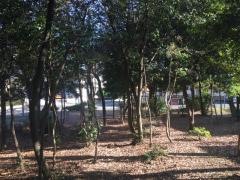 弥富ケ丘緑地