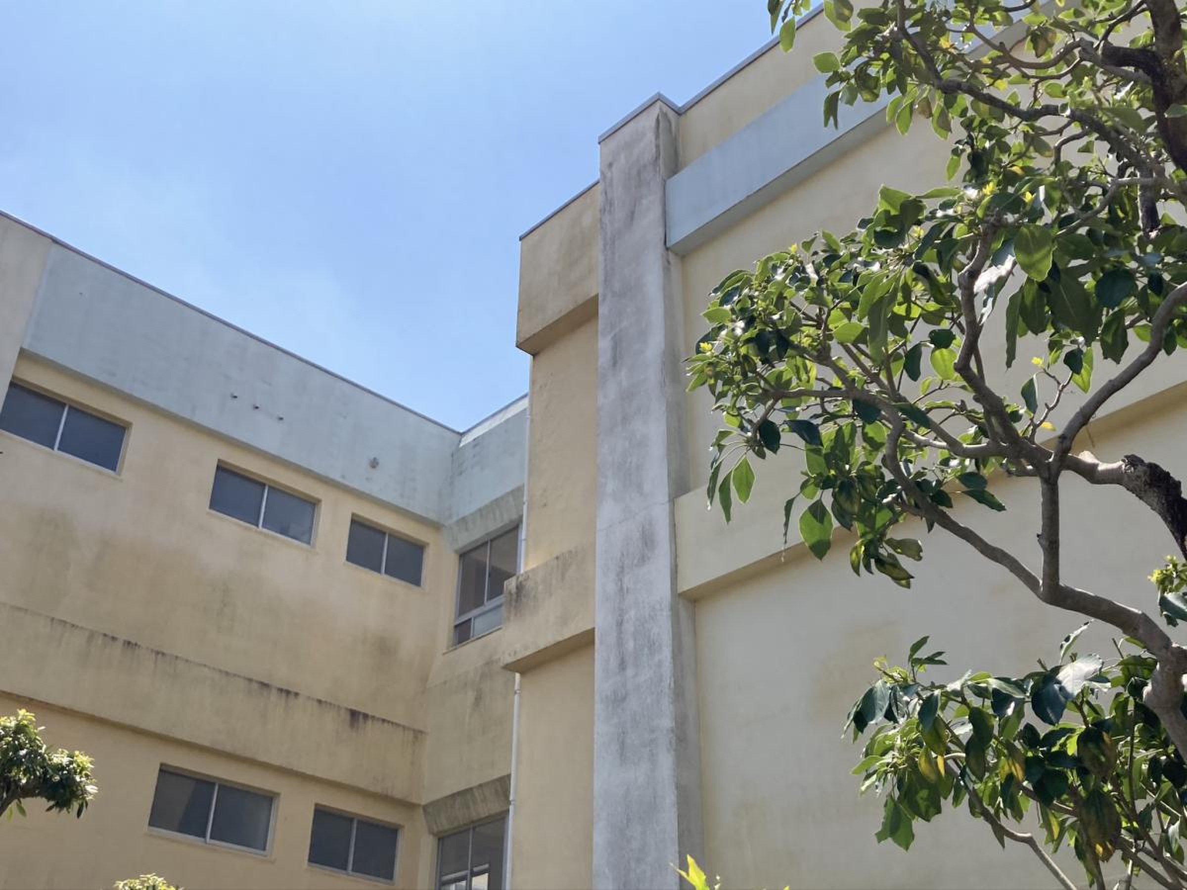 南薫 小学校