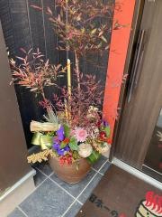 木蓮