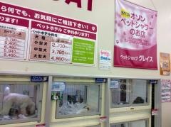 ペットショップグレイス院庄店