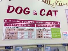 ペットショップグレイス院庄店