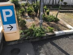 ファミリーマート　西宮山口町名来店