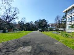 高坂小学校
