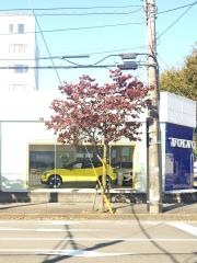 ボルボ・カーズ相模原