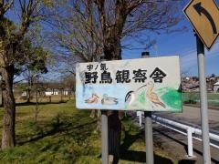 水辺公園