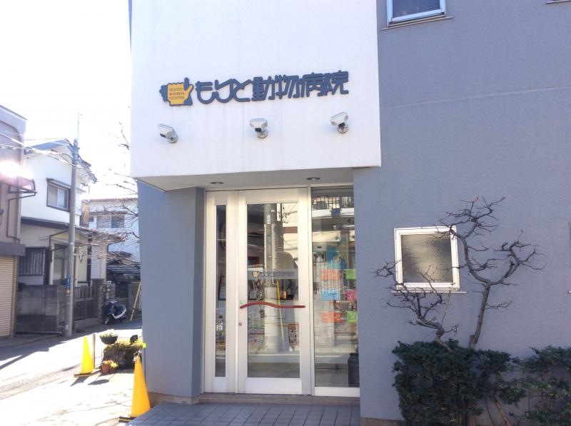 もりと動物病院