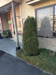 そば蔵