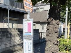 「市民会館入口」バス停留所