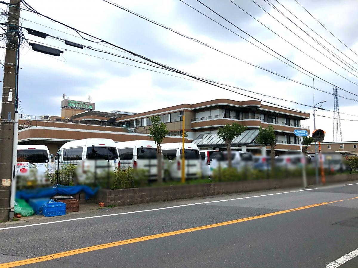 稲毛こひつじ園