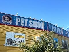 ペットショップＣｏｏ&ＲＩＫＵ　四日市店