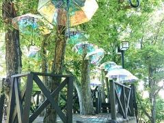 アンダの森　伊豆いっぺき湖