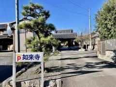 阿弥陀院如来寺