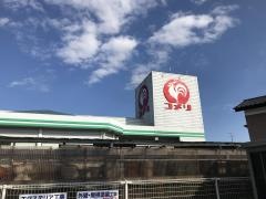 コメリハード＆グリーン　赤井店