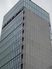 聖徳大学