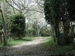 富塚八幡緑地