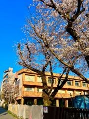 名城小学校