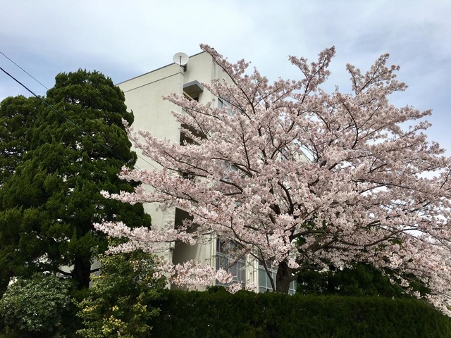 施設写真17