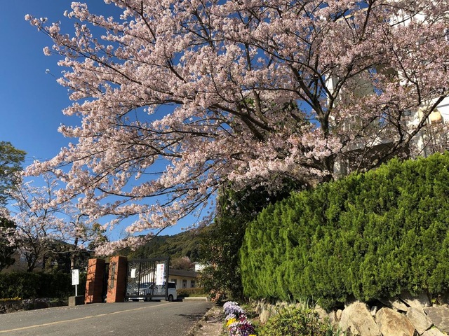 施設写真9
