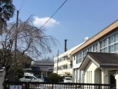 明治小学校
